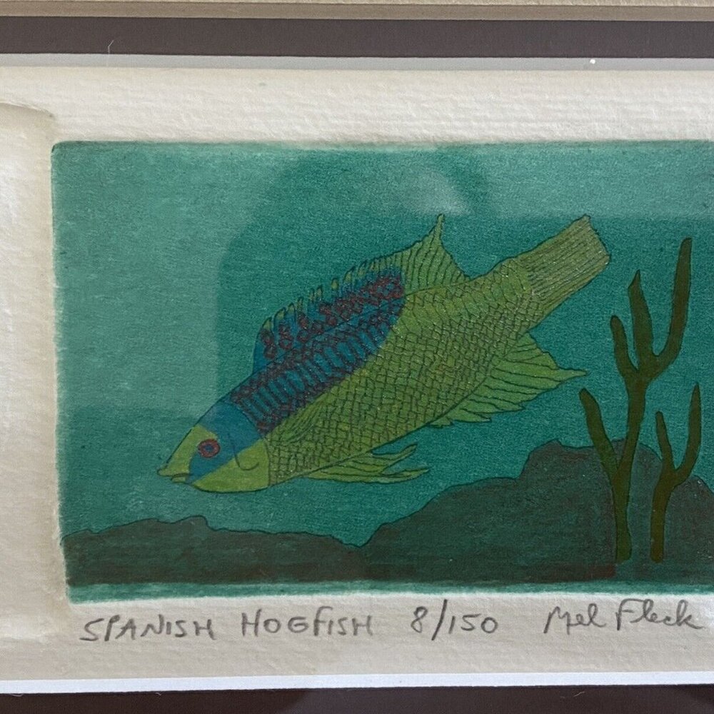 Mel Fleck Spanish‎ Hogfish Art Signed Framed Original Print 8 of 150 3 D Collage